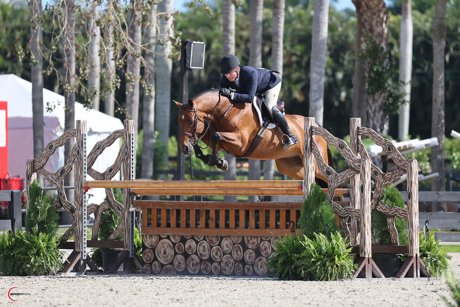 Wellington Ready, Set….WEF!