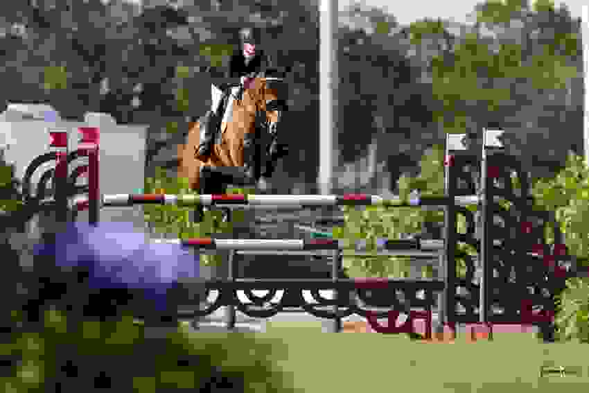 Kent Farrington and Landon Score Sweet Victory 5 br101408.jpg?width=850&height=566.5067720090294&mode=crop&quality=80¢er=0.5%2C0