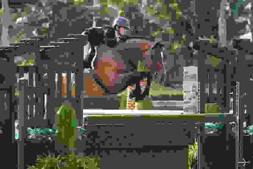 A First for Tiffany Foster in NetJets CSI4* Grand Prix 12 1626 ag104364.jpg?width=850&height=566.5067720090294&mode=crop&quality=80¢er=0.5%2C0