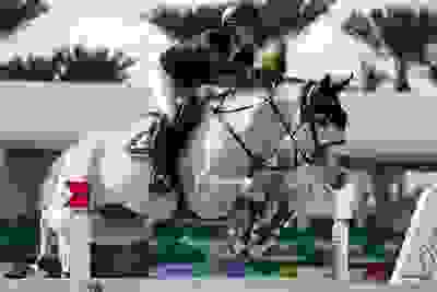Mindful Defies Odds in USHJA International Hunter Derby Presented by BluCreeq Spirits 8 1627 br103245.jpg?width=400&height=266.5914221218962&mode=crop&quality=80¢er=0.5%2C0