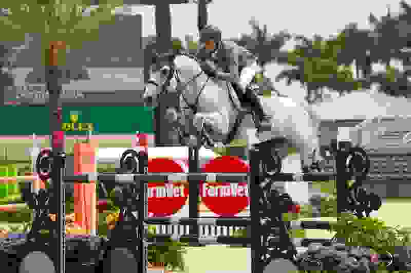 WEF 12: Conor Swail Back to Winning in Wellington With Casturano 3 1635 br107736.jpg?width=800&height=533.1828442437924&mode=crop&quality=80¢er=0.5%2C0