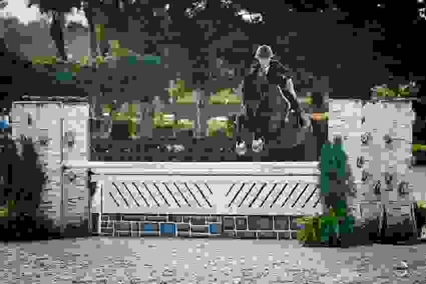 A First for Tiffany Foster in NetJets CSI4* Grand Prix 10 1626 ag104358.jpg?width=850&height=566.5067720090294&mode=crop&quality=80¢er=0.5%2C0