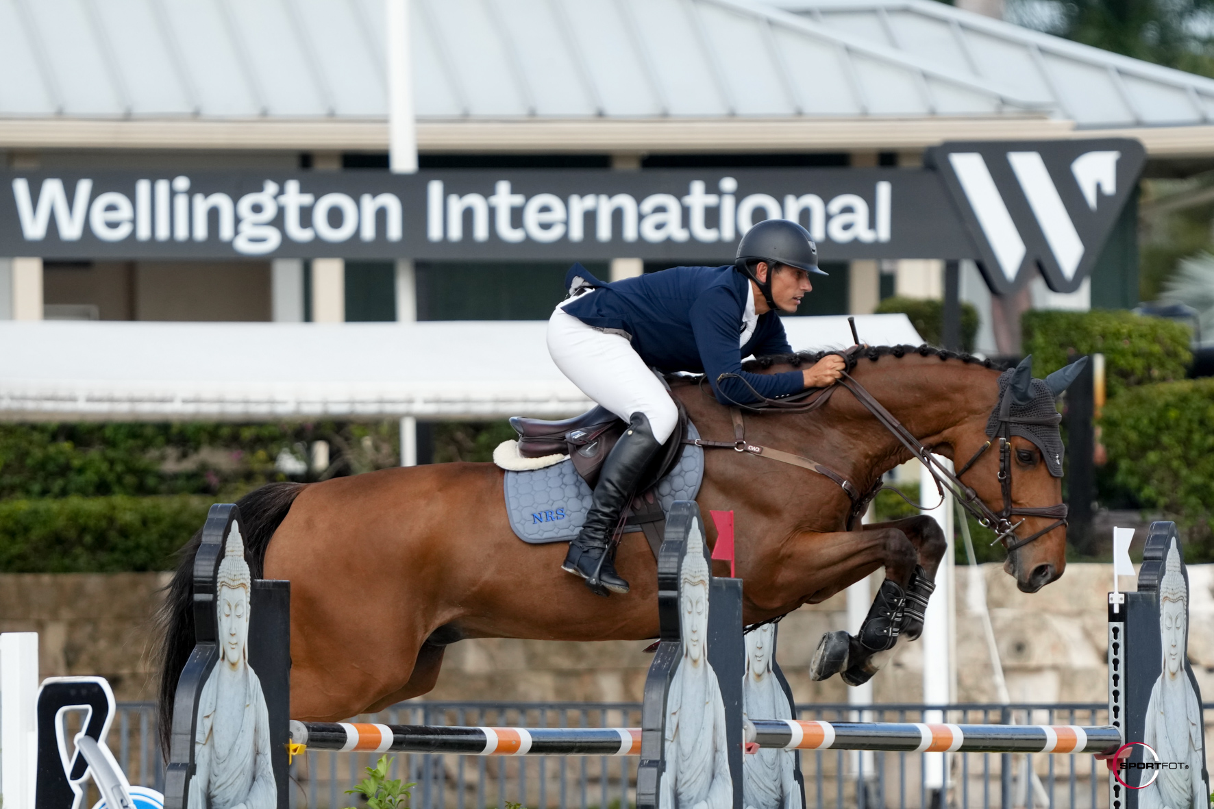 The ESP Year End Awards Horse Show at Wellington International An Impressive Closure to the