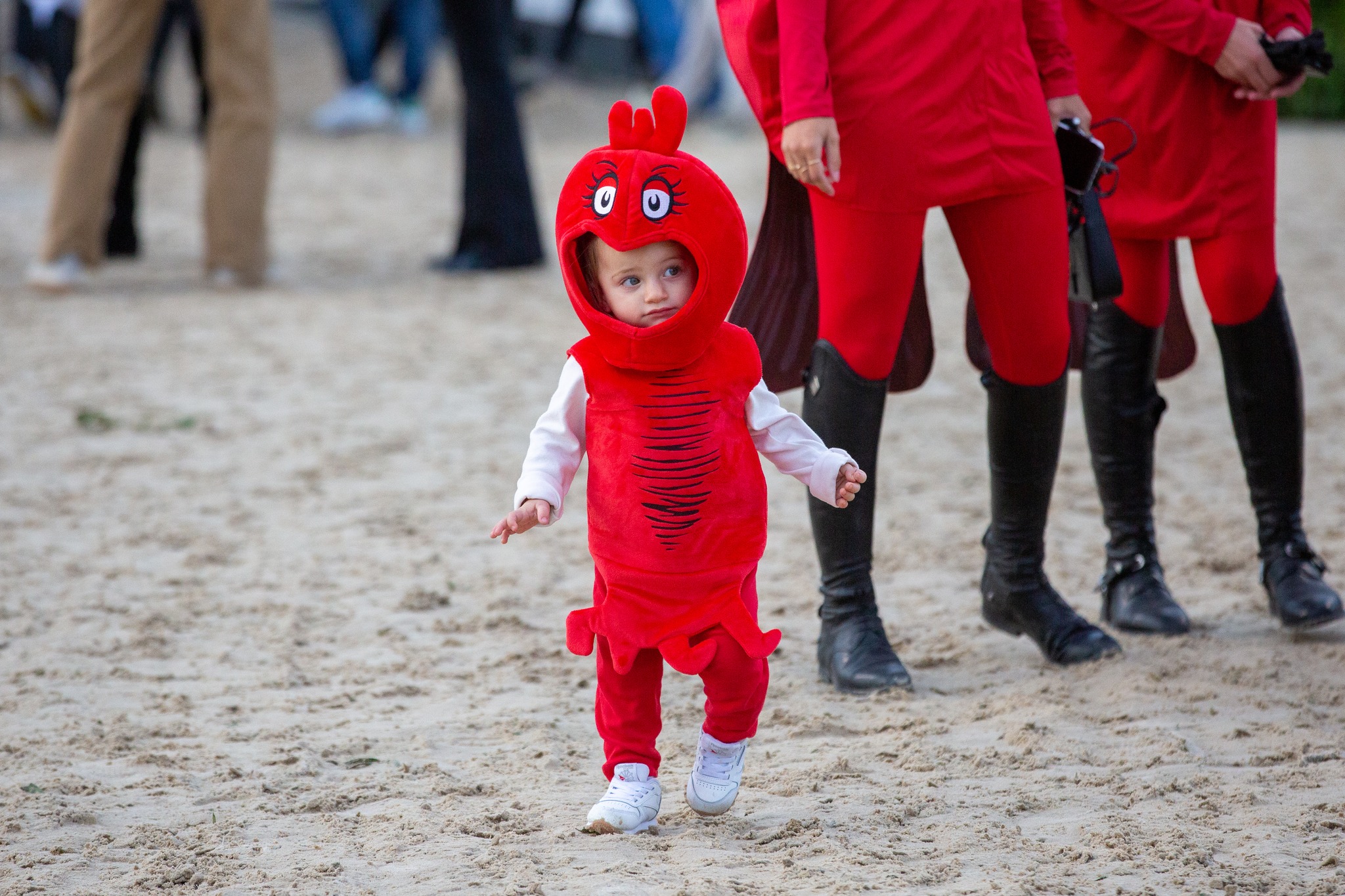 Great Charity Challenge 2024 Volunteer Initiative