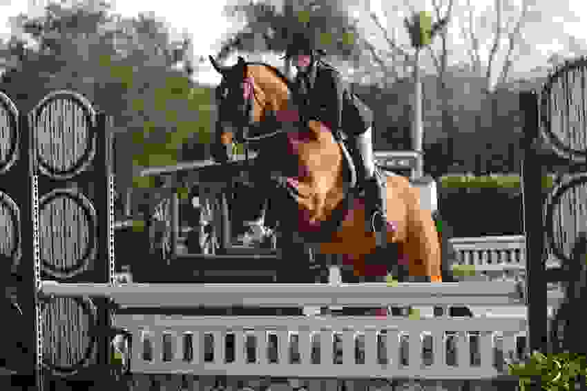 Richard Vogel and Cydello Run Away With $140,000 Keyflow Feeds USA CSI3* Grand Prix 9 1625 ad1 9674.jpg?width=850&height=566.5067720090294&mode=crop&quality=80¢er=0.5%2C0