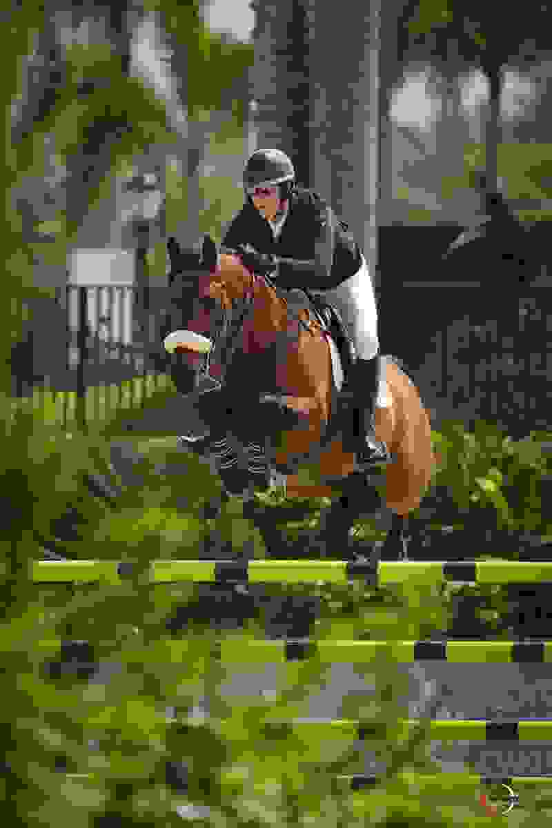 WEF 12: Conor Swail Back to Winning in Wellington With Casturano 4 1635 br107443.jpg?width=800&height=1200.3386960203218&mode=crop&quality=80¢er=0.5%2C0