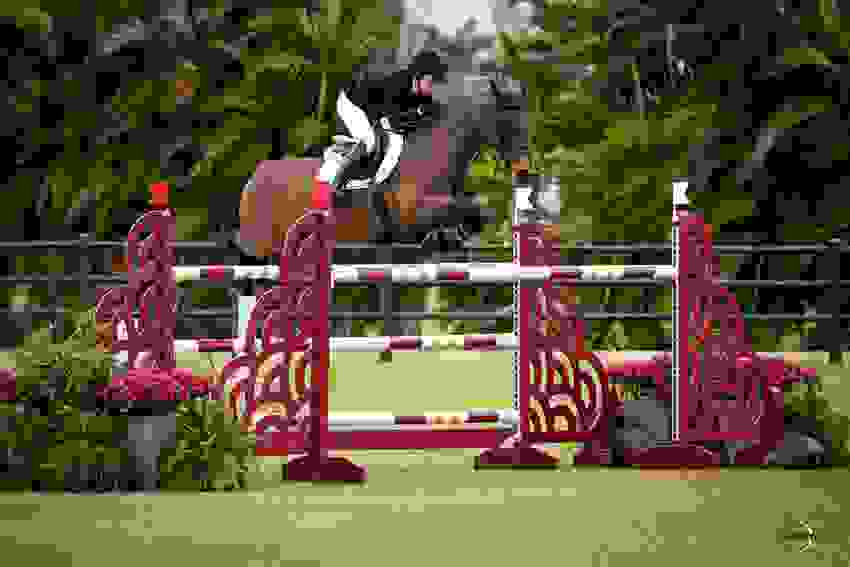 Zarina de Vidau Returns to Win $62,500 CSI2* Griffis Residential Grand Prix with Grace Debney 6 1627 br105505.jpg?width=850&height=566.5067720090294&mode=crop&quality=80¢er=0.5%2C0
