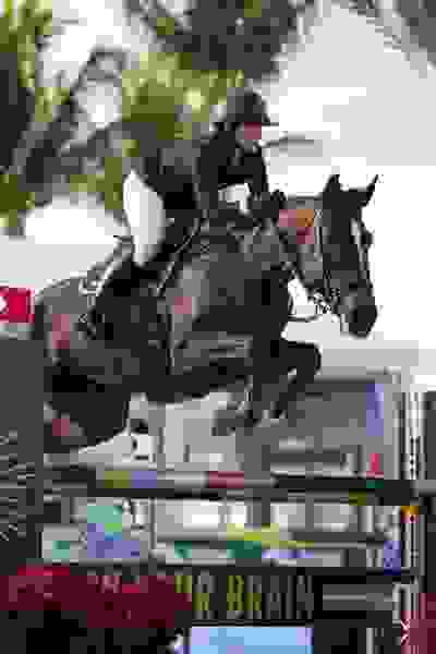 Mindful Defies Odds in USHJA International Hunter Derby Presented by BluCreeq Spirits 6 1627 br103452.jpg?width=400&height=600.1693480101609&mode=crop&quality=80¢er=0.5%2C0