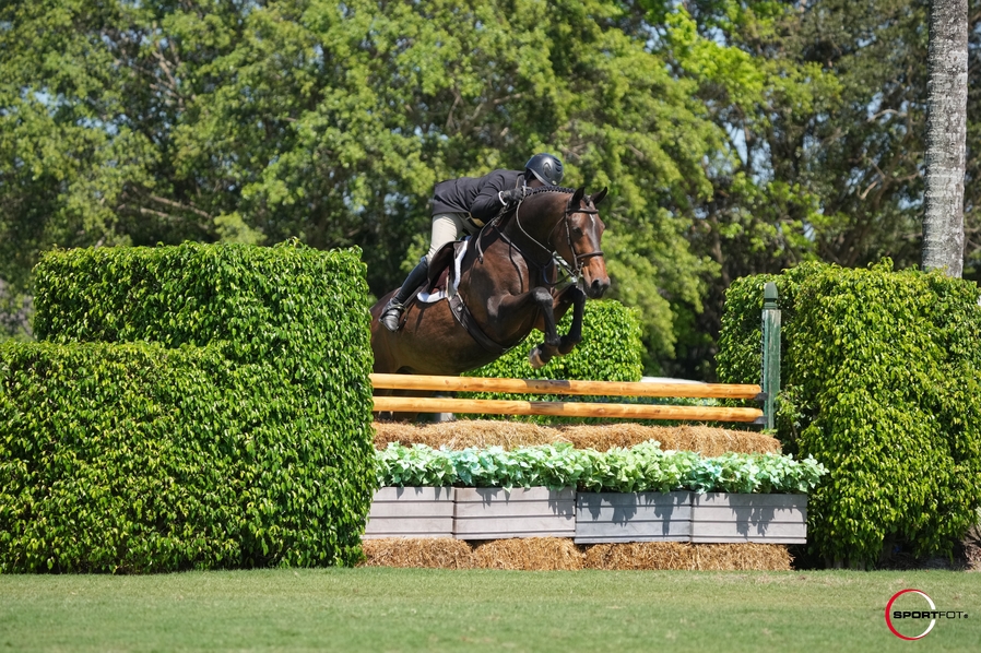 Events at Wellington International