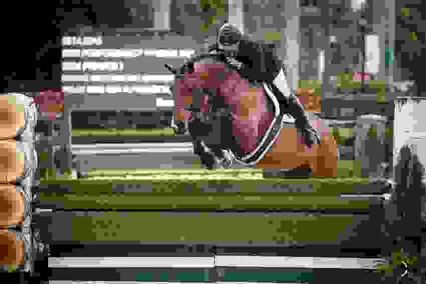 Paul O'Shea in Winning Form in $32,000 Dodd Technologies CSI3* 1.45m at WEF 3 1625 ma1 6582.jpg?width=850&height=566.5067720090294&mode=crop&quality=80¢er=0.5%2C0