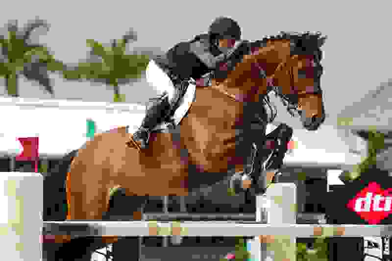 Ben Maher Leaves His Mark on CSIO Week at Wellington International 3 1631 br106794.jpg?width=800&height=533.1828442437924&mode=crop&quality=80¢er=0.5%2C0