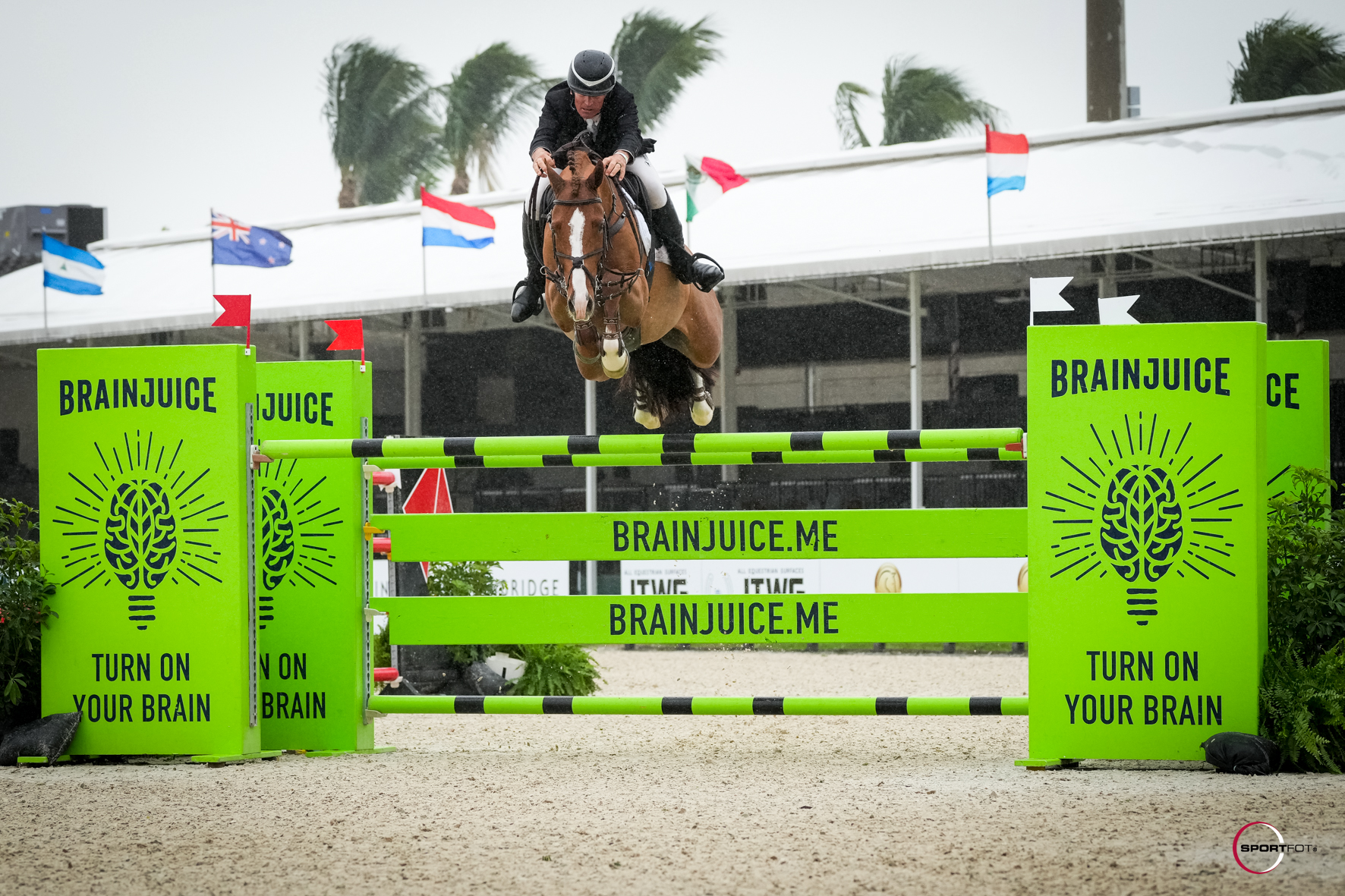 Wellington International Celebrates Thrilling Outcomes at the 2024