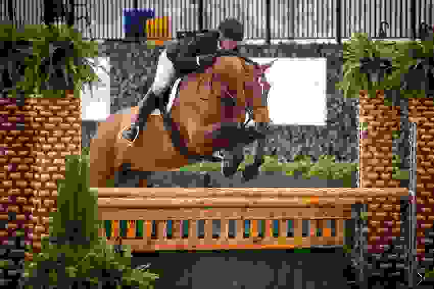 Paul O'Shea in Winning Form in $32,000 Dodd Technologies CSI3* 1.45m at WEF 4 1625 ma1 6645.jpg?width=850&height=566.8266516092602&mode=crop&quality=80¢er=0.5%2C0