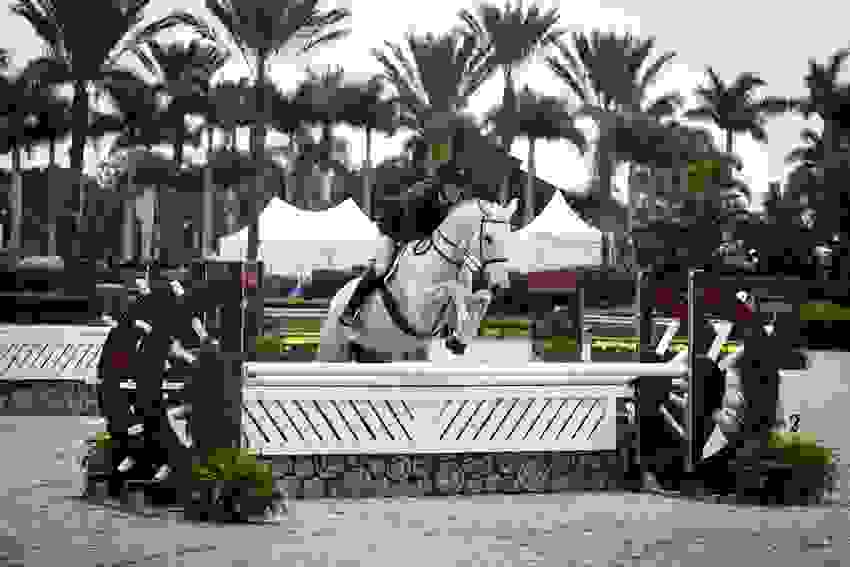 Paul O'Shea in Winning Form in $32,000 Dodd Technologies CSI3* 1.45m at WEF 6 1625 ma1 6558.jpg?width=850&height=566.5067720090294&mode=crop&quality=80¢er=0.5%2C0