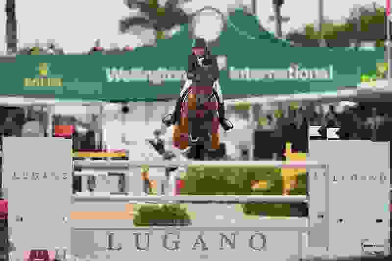 Ireland Reigns Once Again in $150,000 CSIO4* Nations Cup, Presented by Florida Coast Equipment 3 1631 br105509.jpg?width=800&height=533.1828442437924&mode=crop&quality=80¢er=0.5%2C0