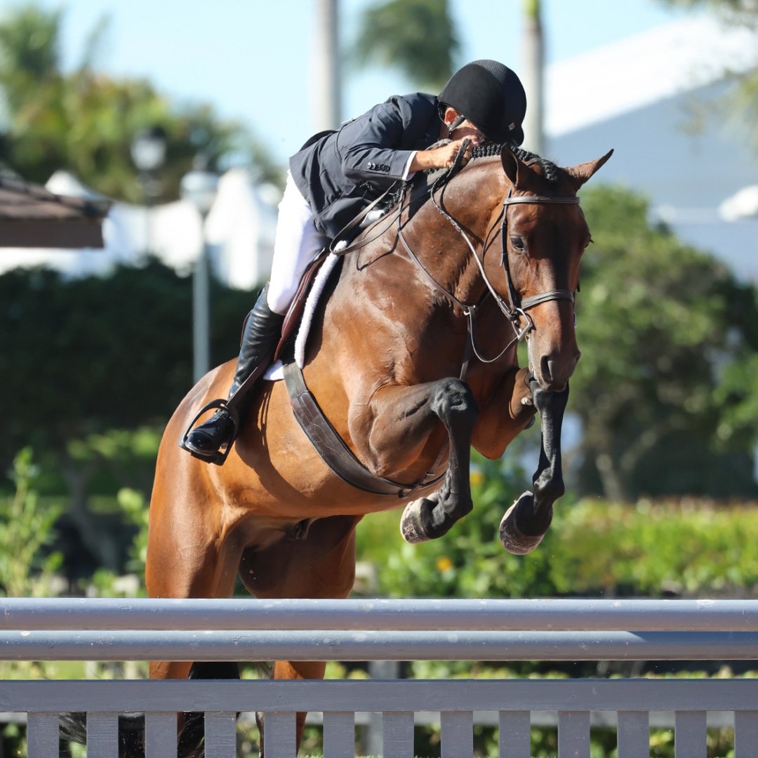 Wellington John French and Milagro win the 25,000 USHJA