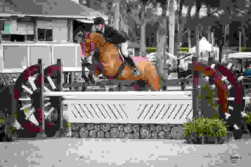 Paul O'Shea in Winning Form in $32,000 Dodd Technologies CSI3* 1.45m at WEF 5 1625 ma1 6425.jpg?width=850&height=566.5067720090294&mode=crop&quality=80¢er=0.5%2C0