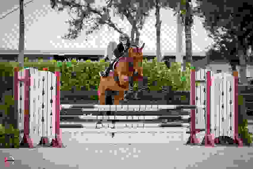 Twinning for Time: Abigail McArdle and Amanda Derbyshire Tie for First in Adequan® WEF Challenge Cup 5 1625 jb1 4893.jpg?width=850&height=566.5067720090294&mode=crop&quality=80¢er=0.5%2C0