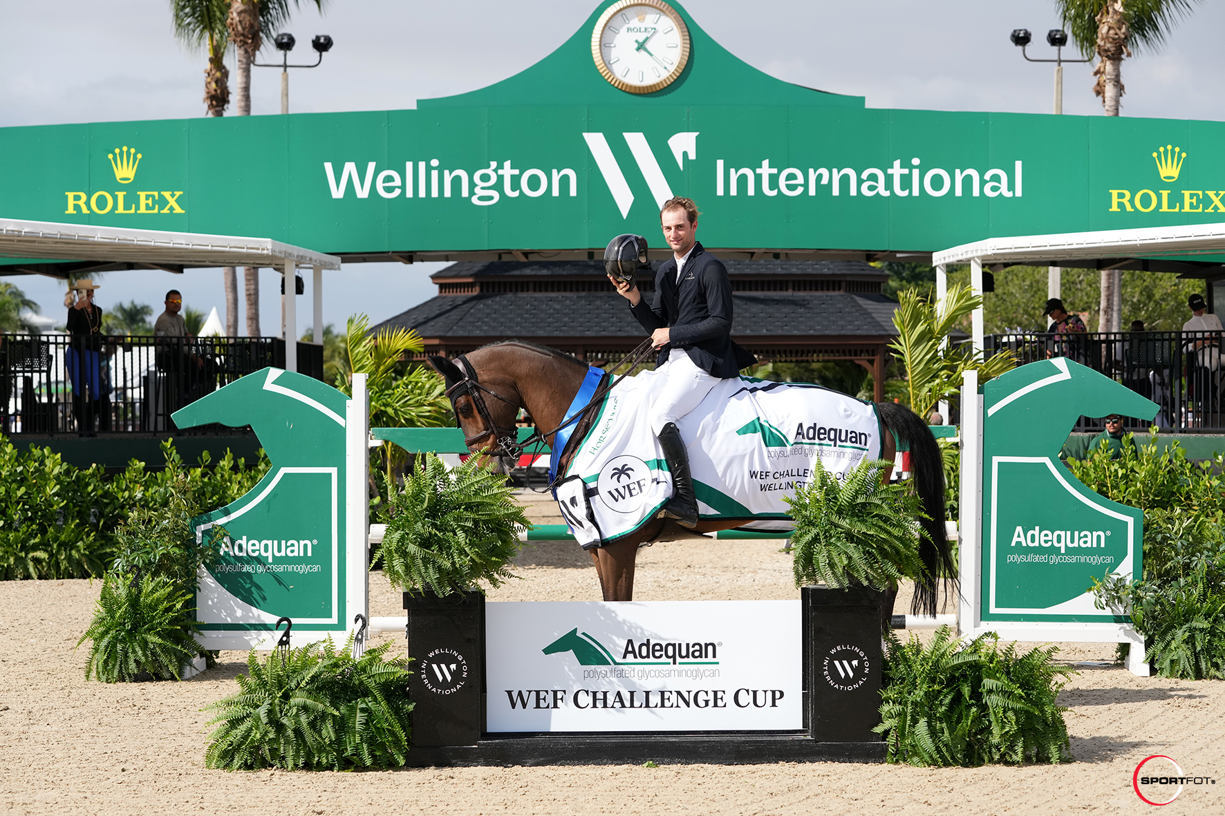 Wellington Ready, Set….WEF!