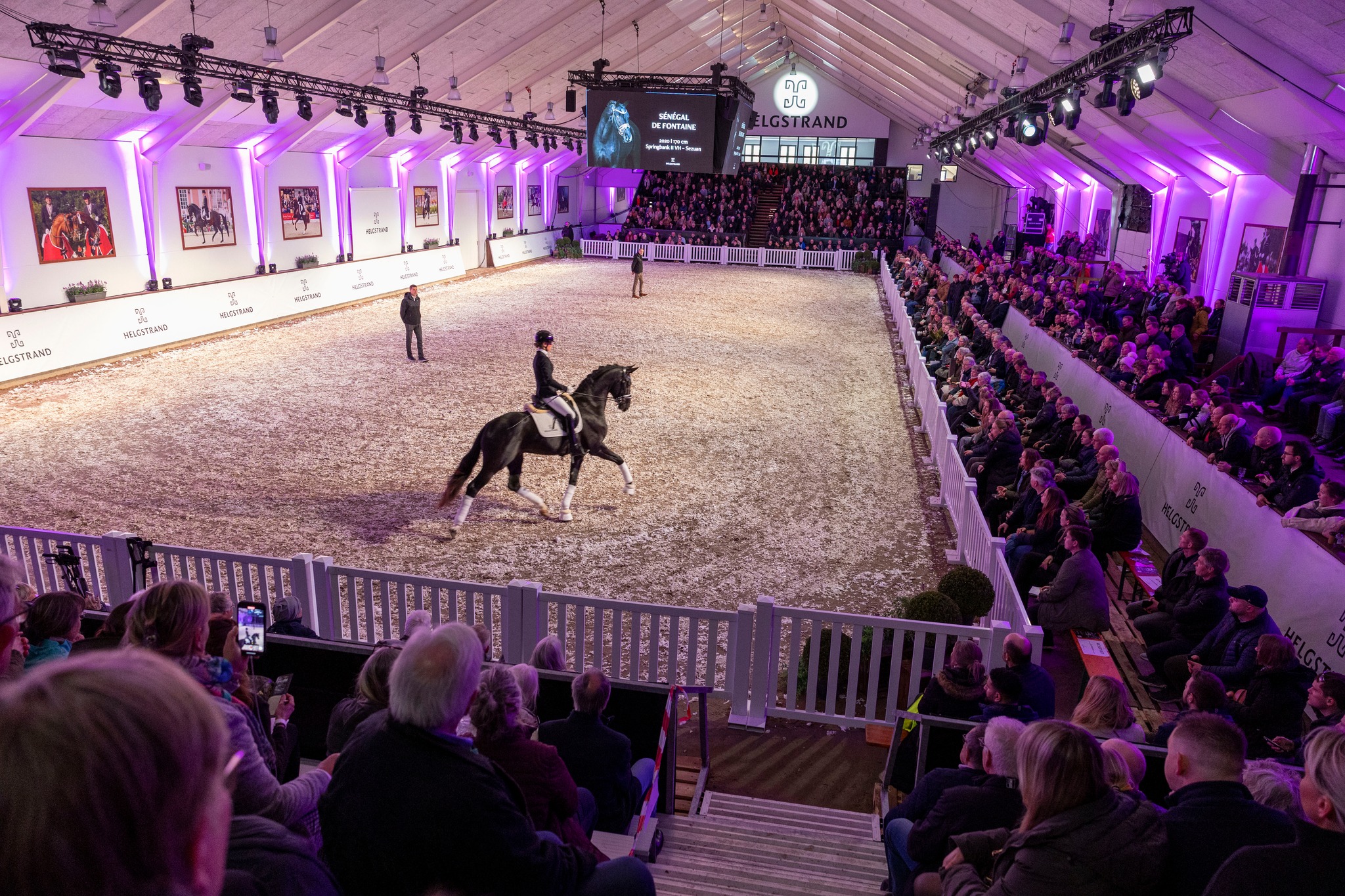 Helgstrand Dressage - Open House & Stallion Show 2024