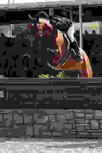 Mindful Defies Odds in USHJA International Hunter Derby Presented by BluCreeq Spirits 3 1627 lp1 3908.jpg?width=400&height=600.1693480101609&mode=crop&quality=80¢er=0.5%2C0