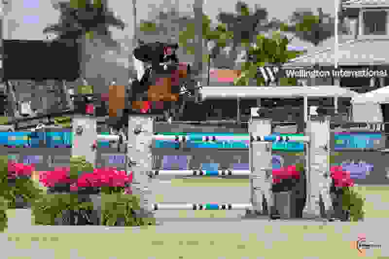 Rupert Carl Winkelmann and Quinn 33 Speed to Blue in $62,500 Bainbridge CSI5* 1.50m 2 1628 jb1 3123.jpg?width=800&height=533.1828442437924&mode=crop&quality=80¢er=0.5%2C0