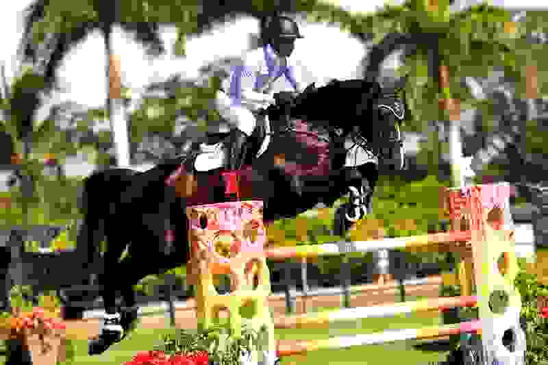 Wellington International: Kevin Mealiff Can’t be Caught in $25,000 Parlanti Grand Prix 6 kevin mealiff lodewijk 1.jpg?width=800&height=533.2373064458048&mode=crop&quality=80¢er=0.5%2C0