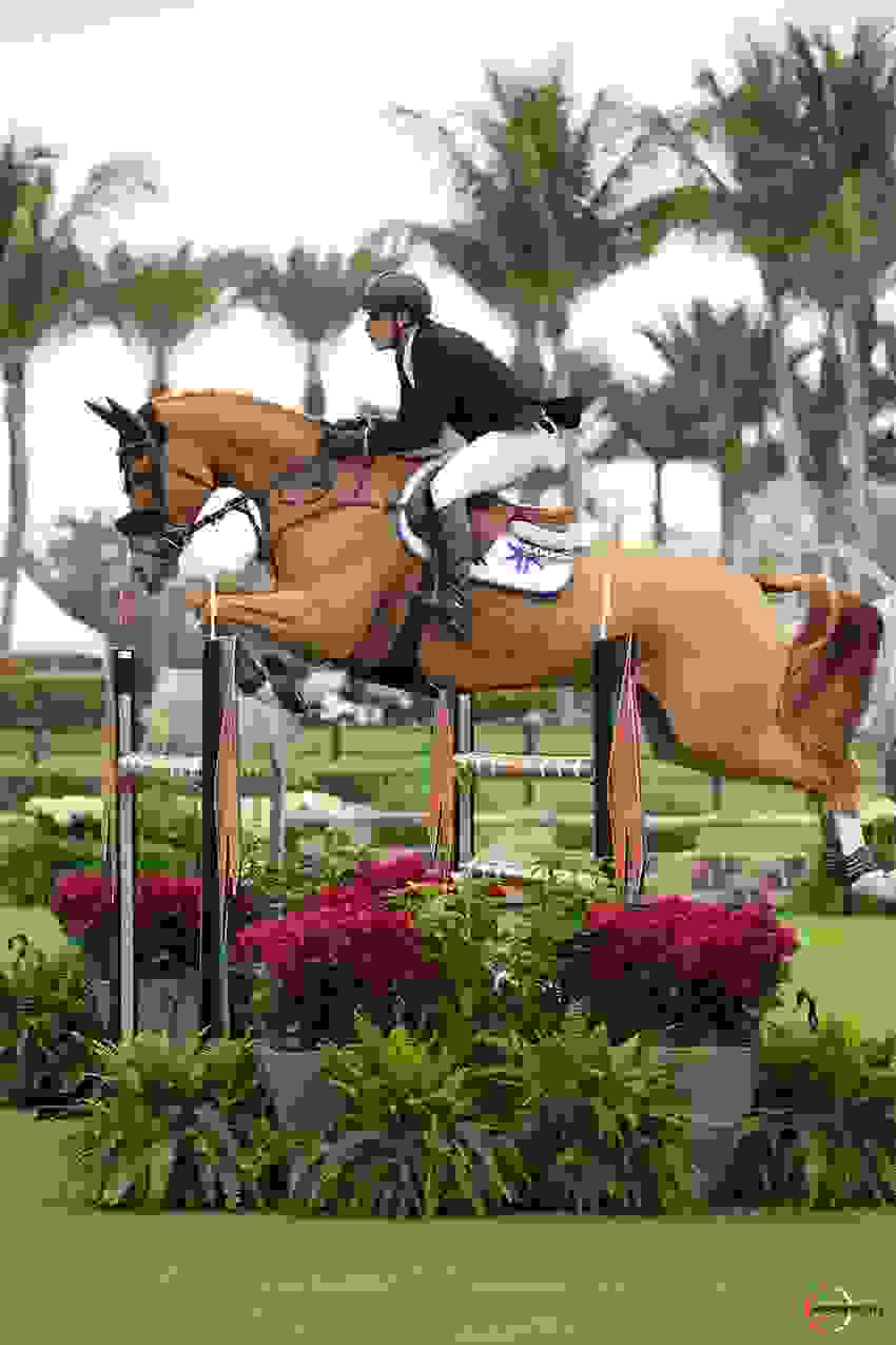 Paul O'Shea in Winning Form in $32,000 Dodd Technologies CSI3* 1.45m at WEF 2 1625 br101070.jpg?width=850&height=1275.3598645215918&mode=crop&quality=80¢er=0.5%2C0