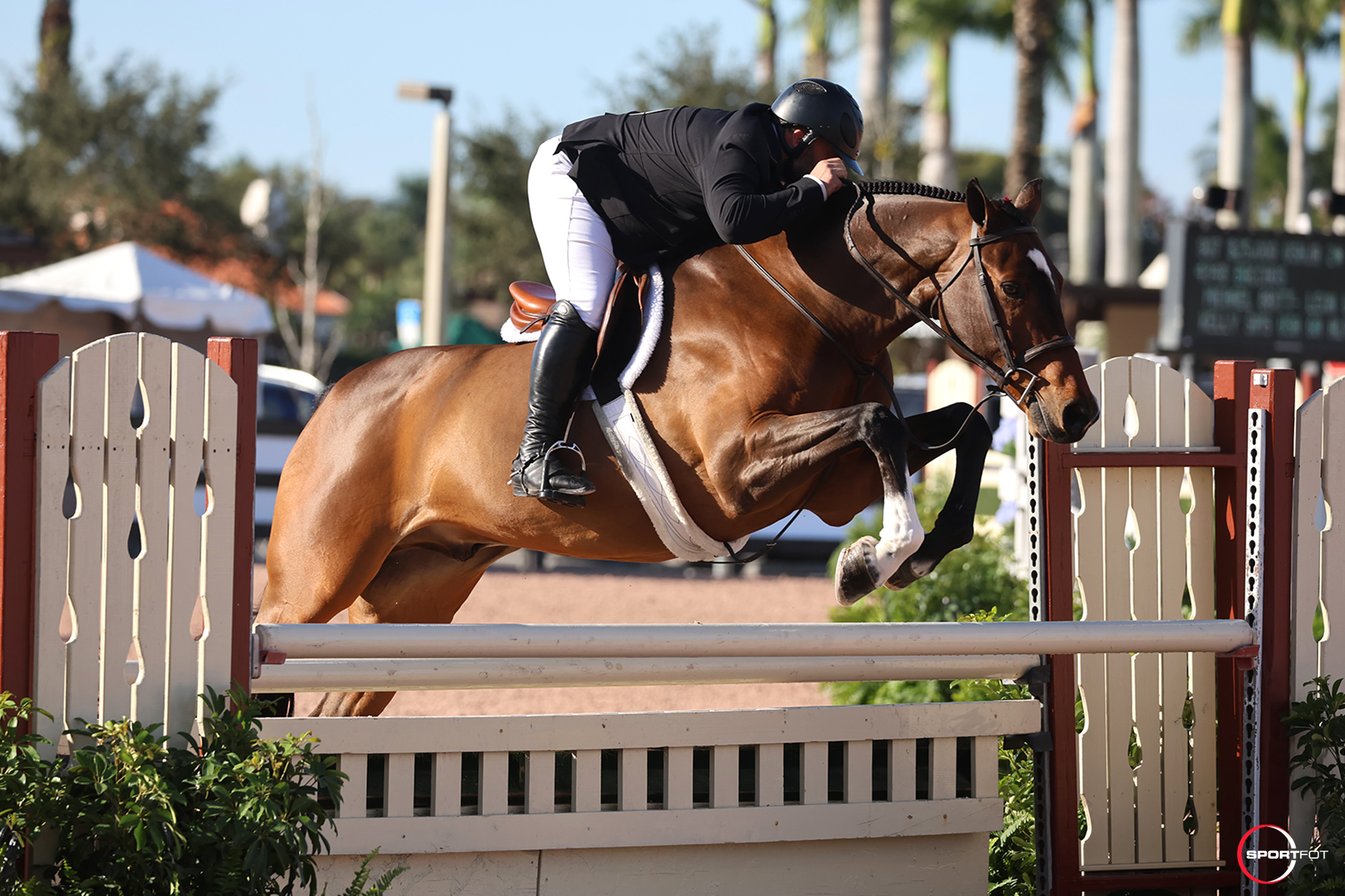 Wellington - John French and Milagro win the $25,000 USHJA ...