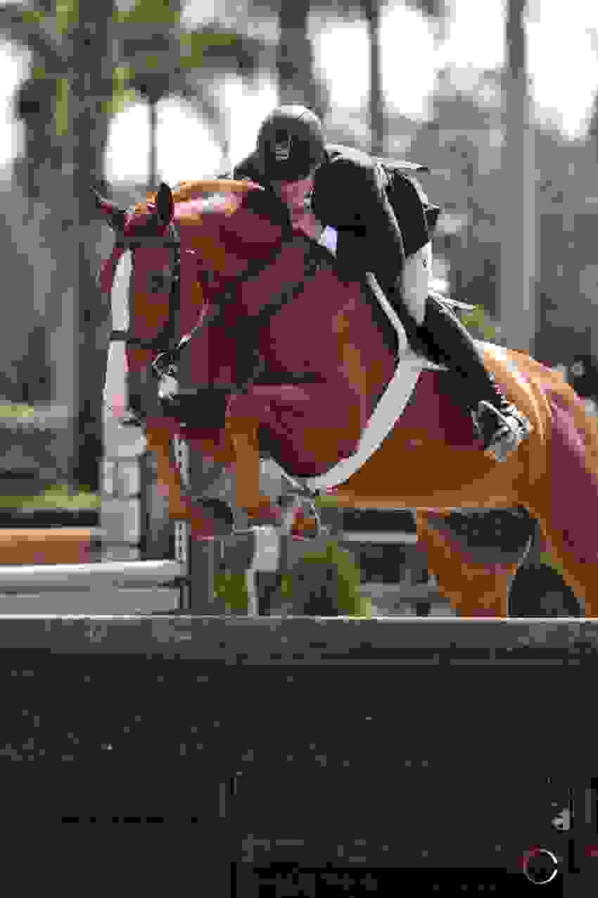 Kent Farrington and Landon Score Sweet Victory 8 1627 lp1 2021.jpg?width=850&height=1275.3598645215918&mode=crop&quality=80¢er=0.5%2C0